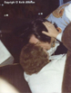 page79-1037-full.jpg