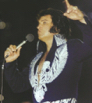 page79-1046-full.jpg